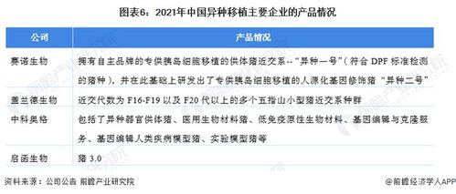 洞察2022 中國異種移植行業競爭格局深度解析——研發對比、投融資與業務布局盤點